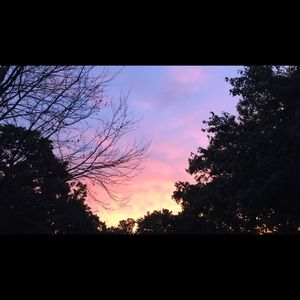 Meet your Posher, Bailey